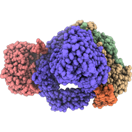 6SN2 image