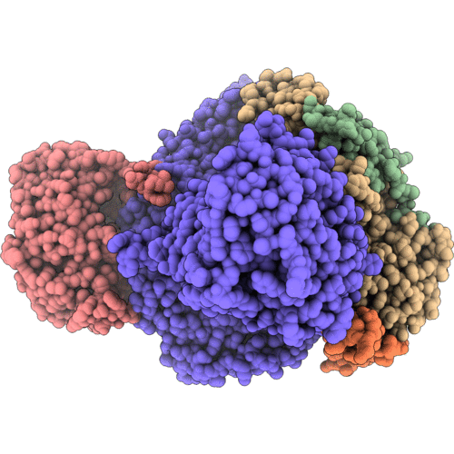 6SN3 image