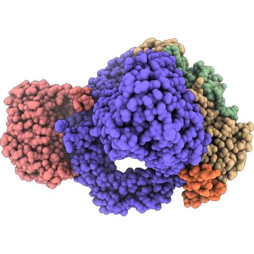 6SN4 image