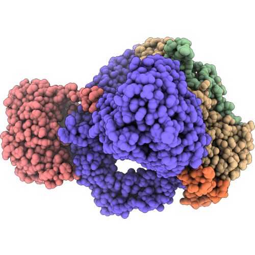 6SN7 image