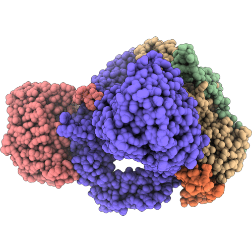 6SN8 image