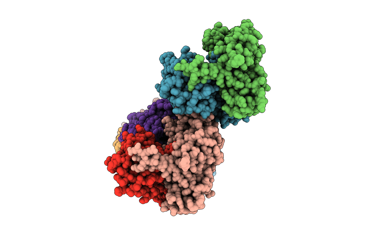 6SNA image