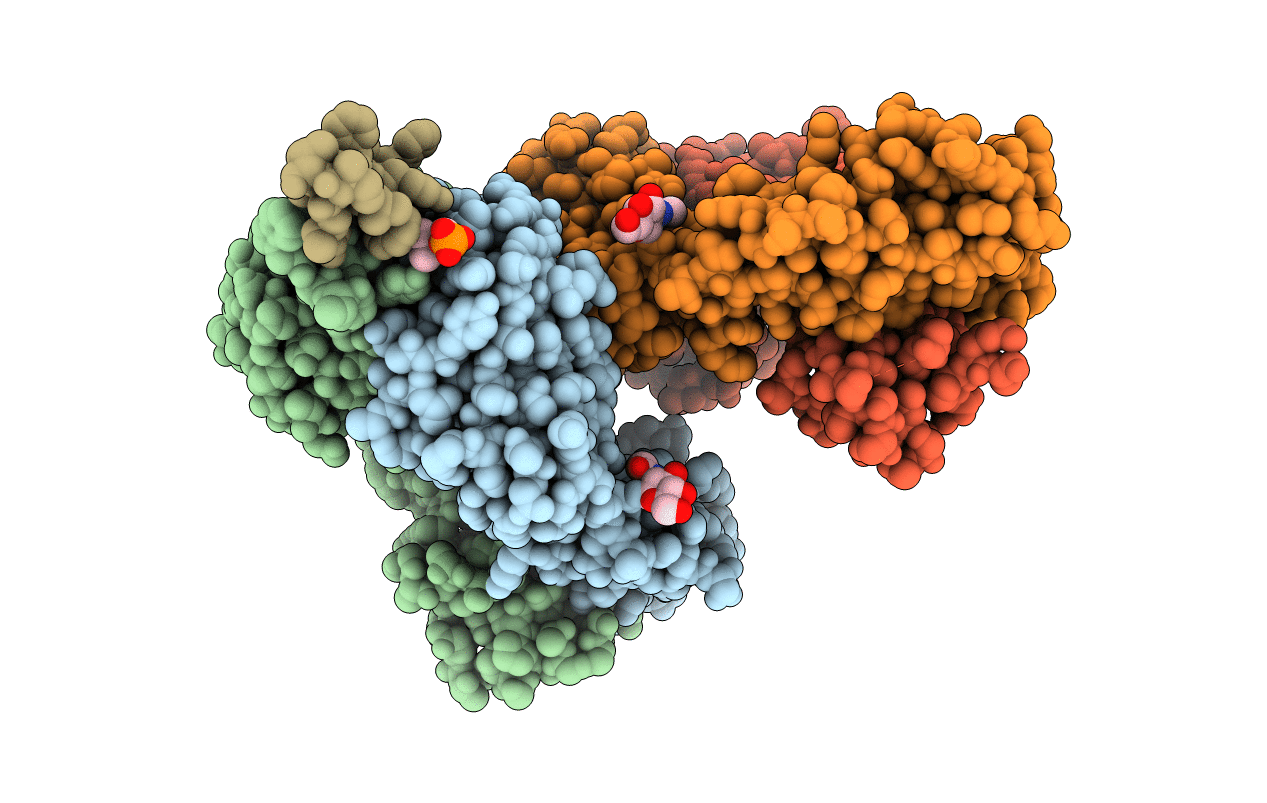 6SNC image
