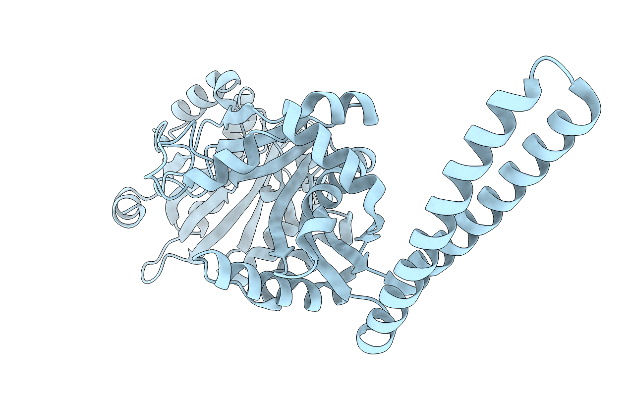 6SNR image