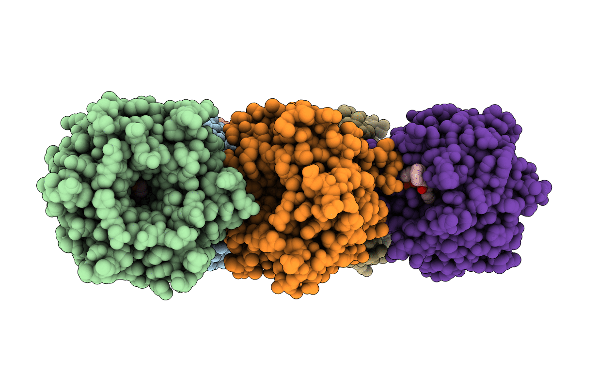 6SP4 image