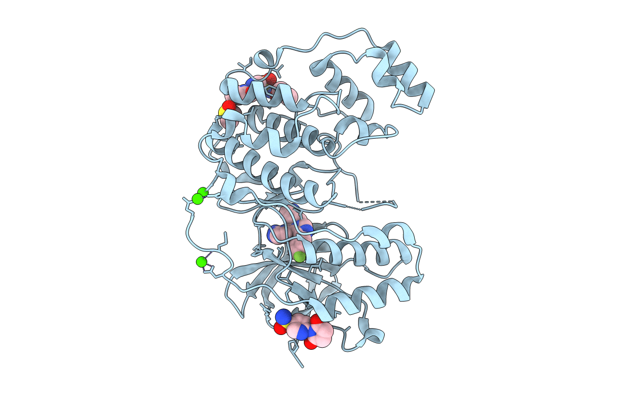 6SP9 image