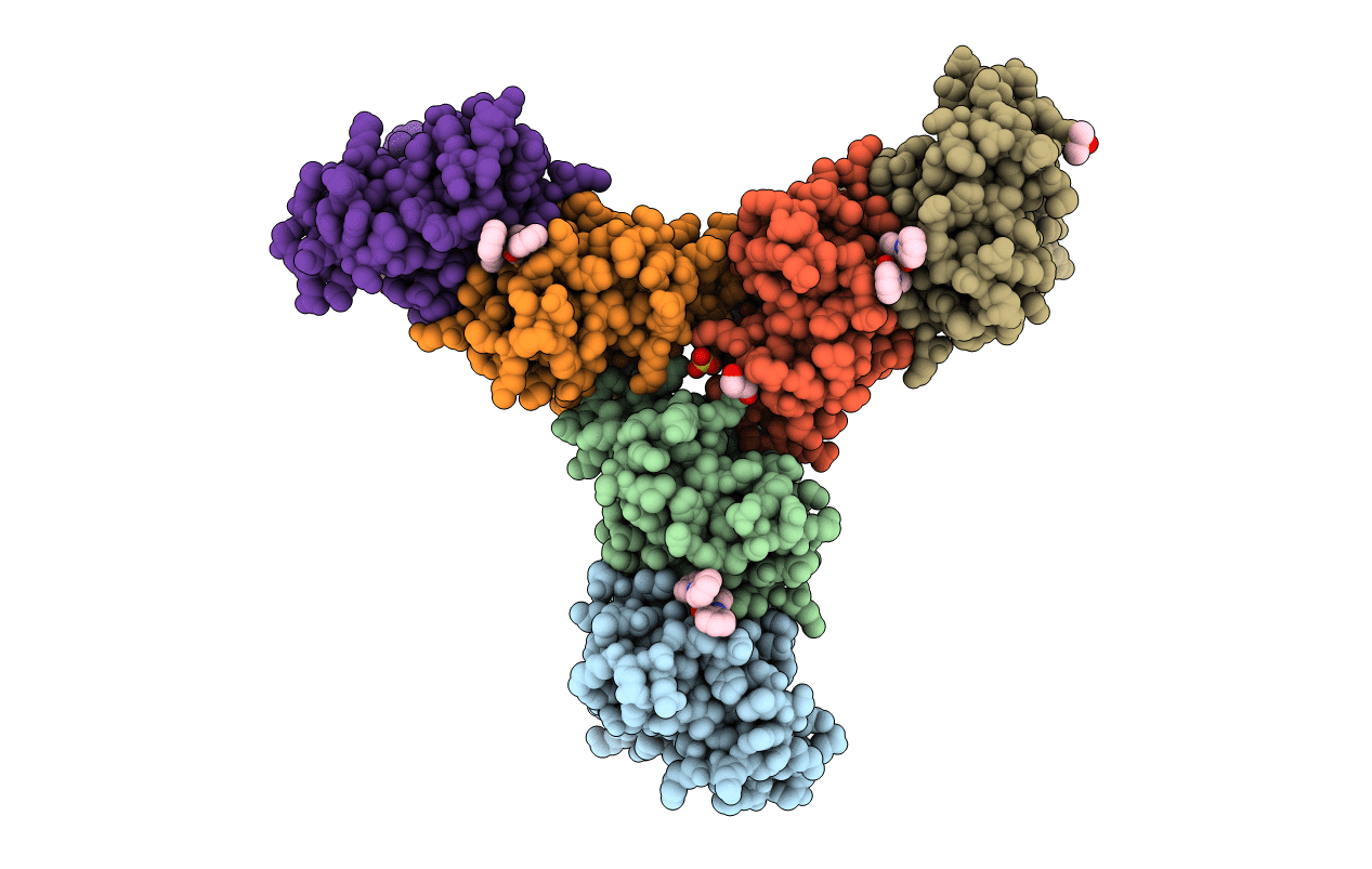 6SPH image