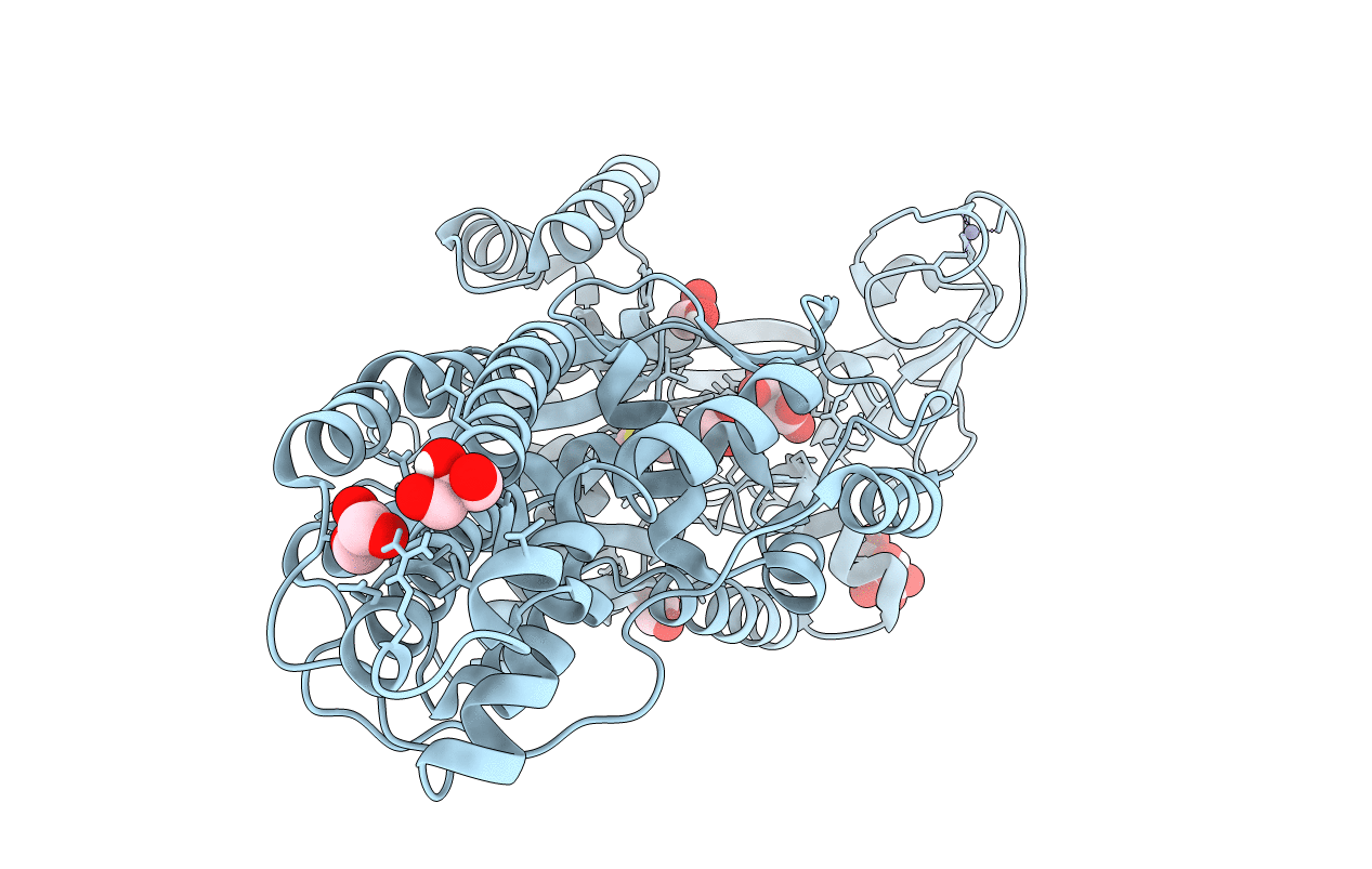 6SPR image