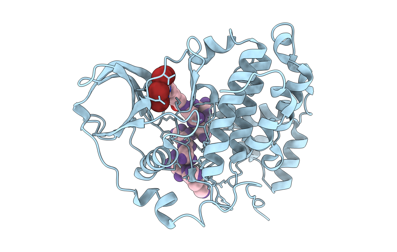 6SPX image