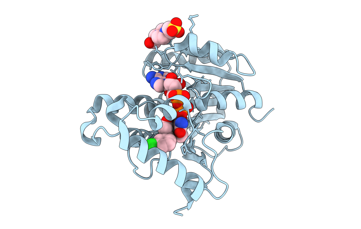 6SQB image