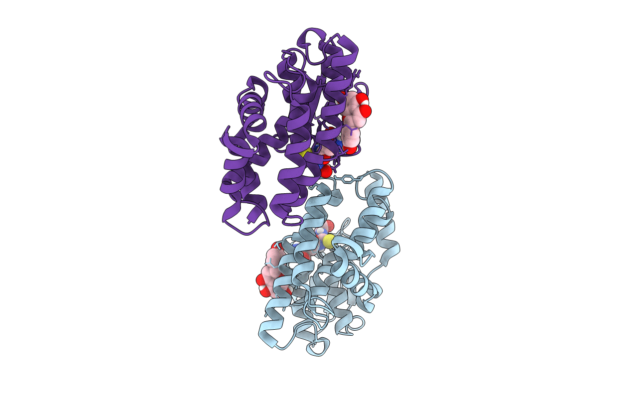6SRA image