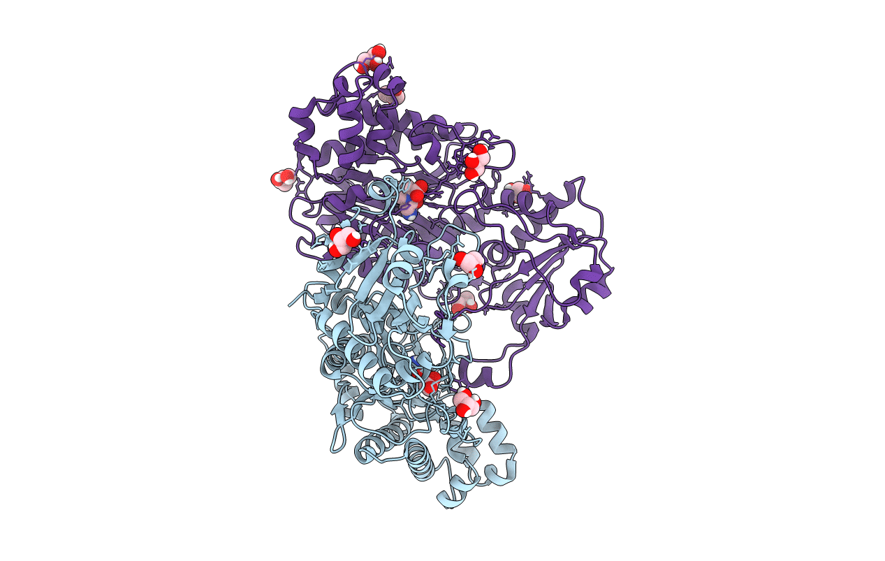 6SRE image
