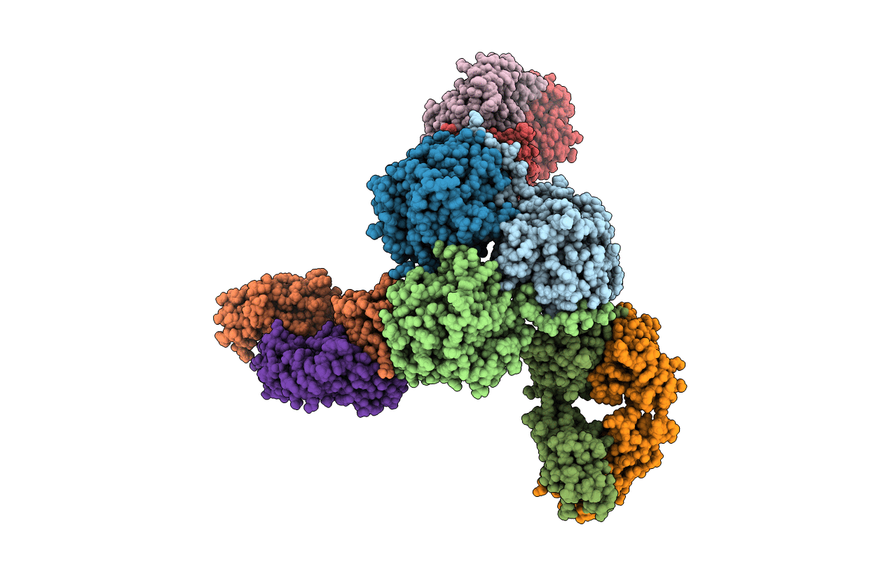 6SS6 image