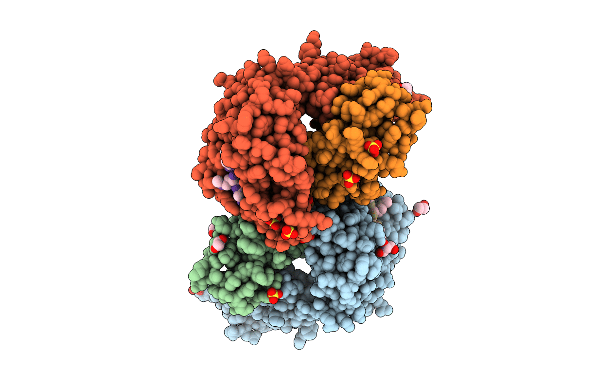6SS7 image