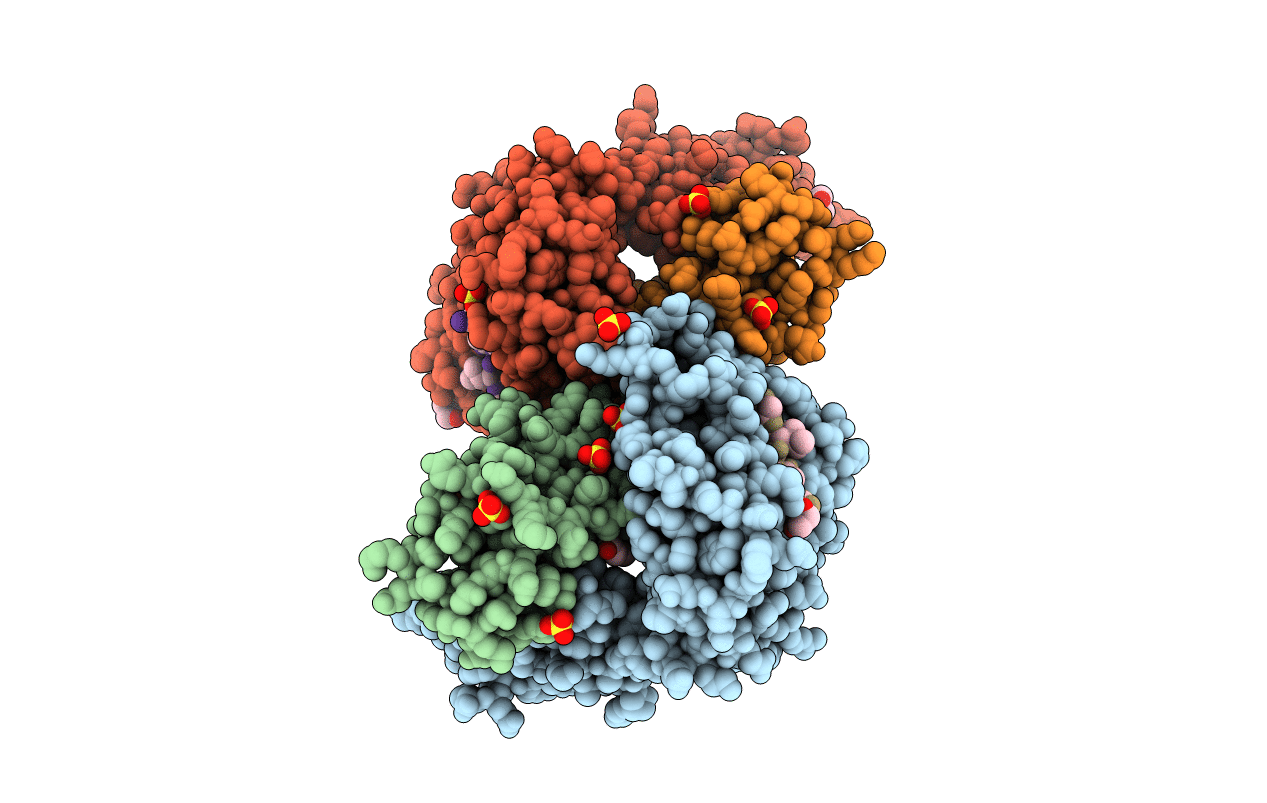 6SS8 image