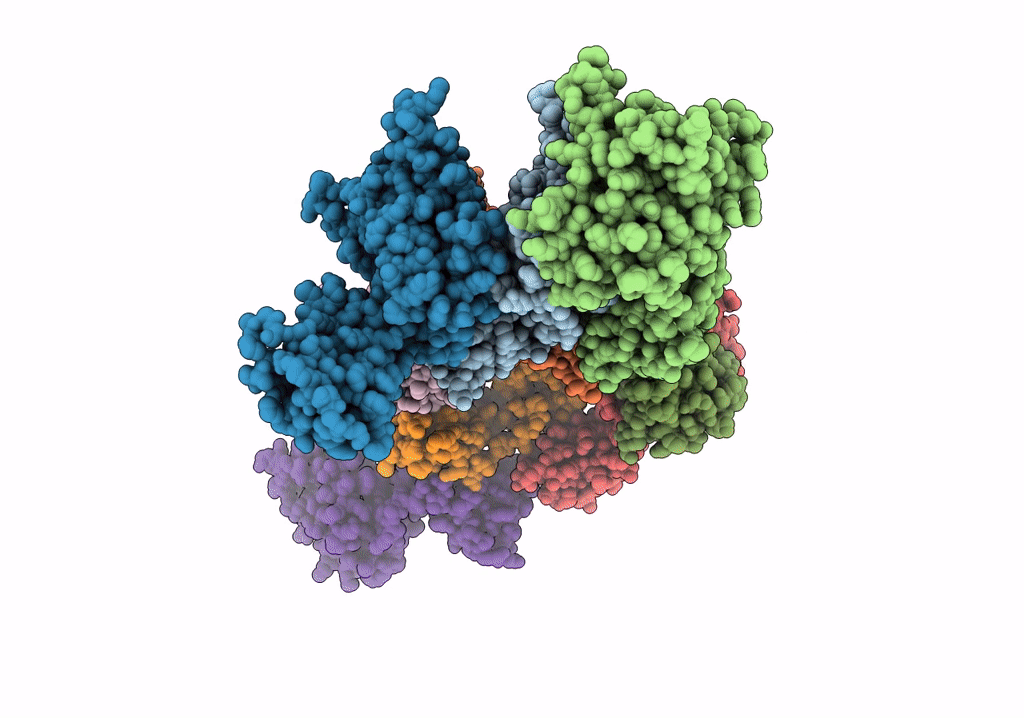 6SSK image