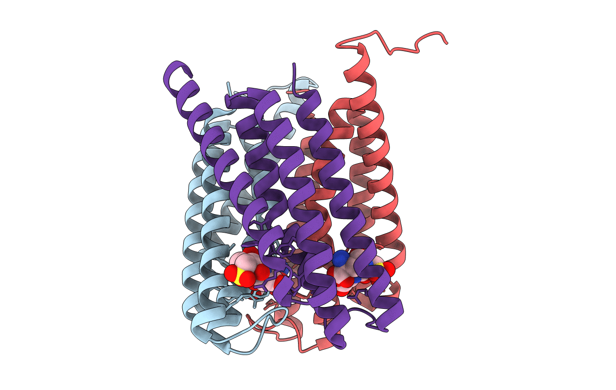 6SSW image