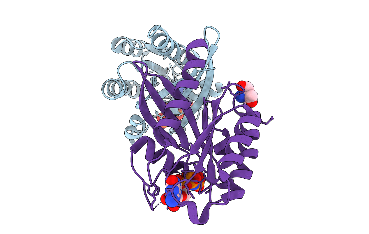 6STG image