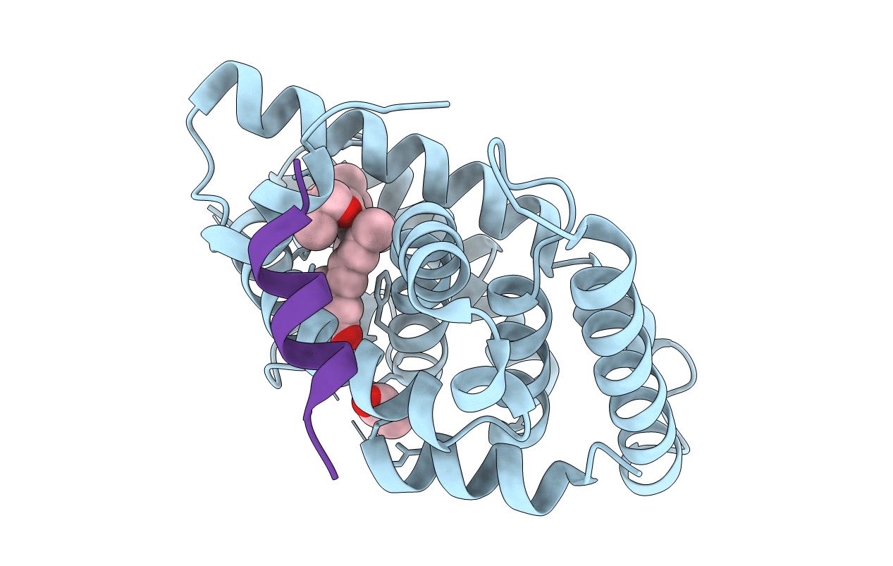 6STI image