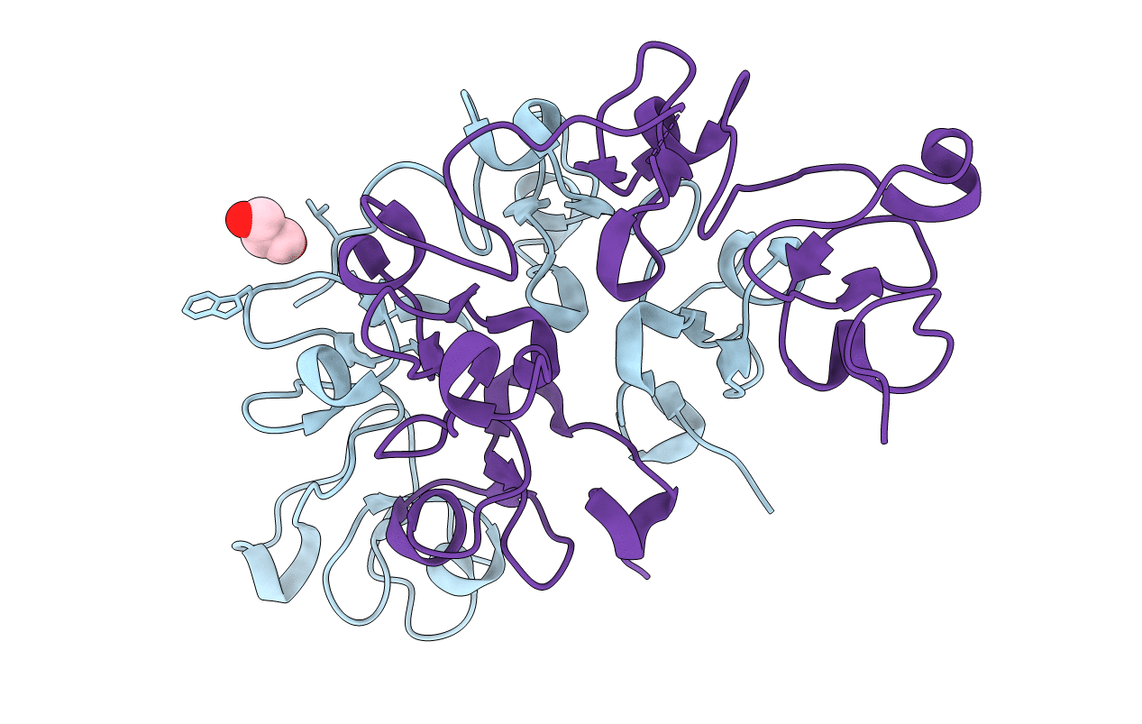 6STM image