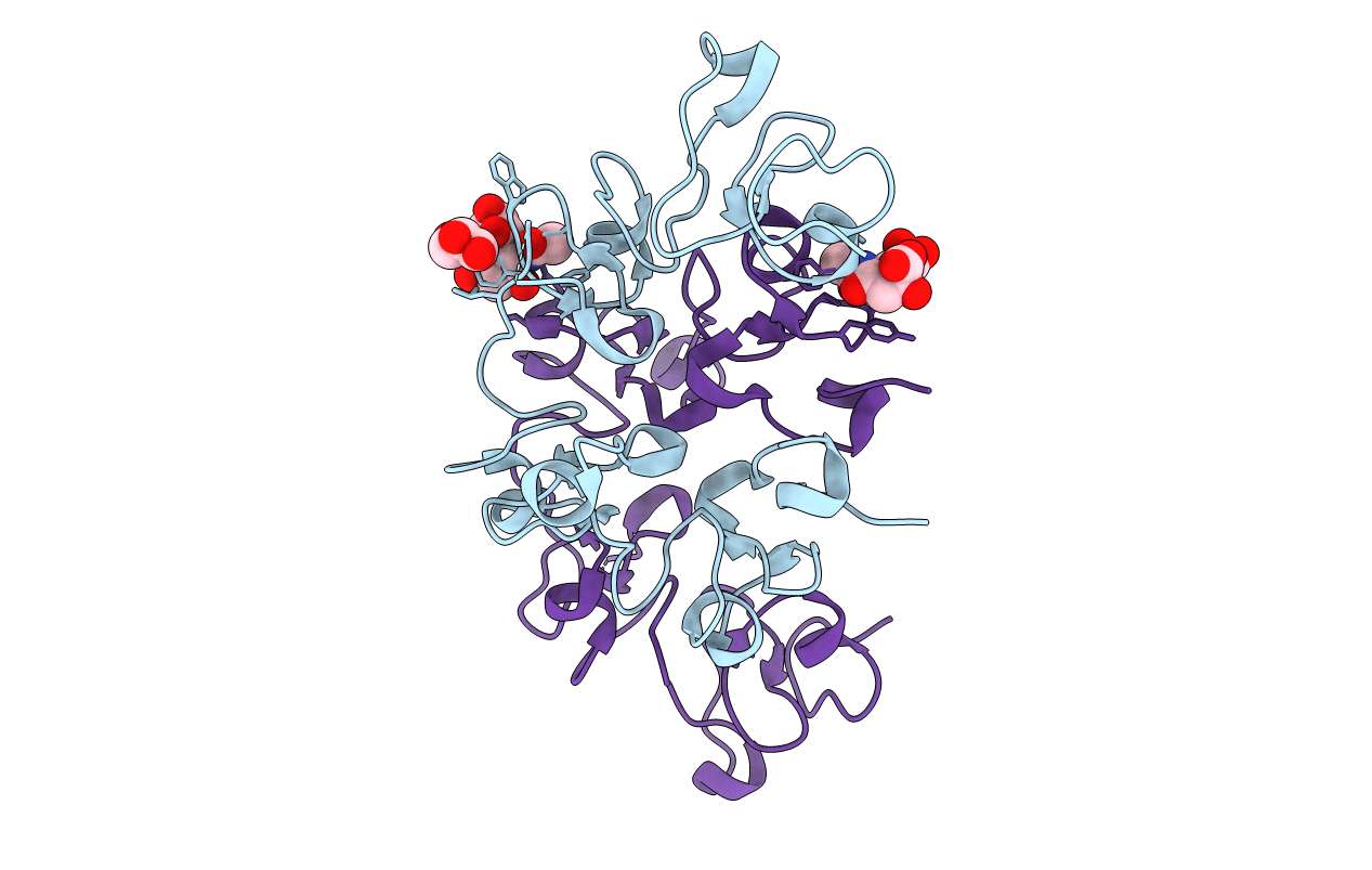 6STP image