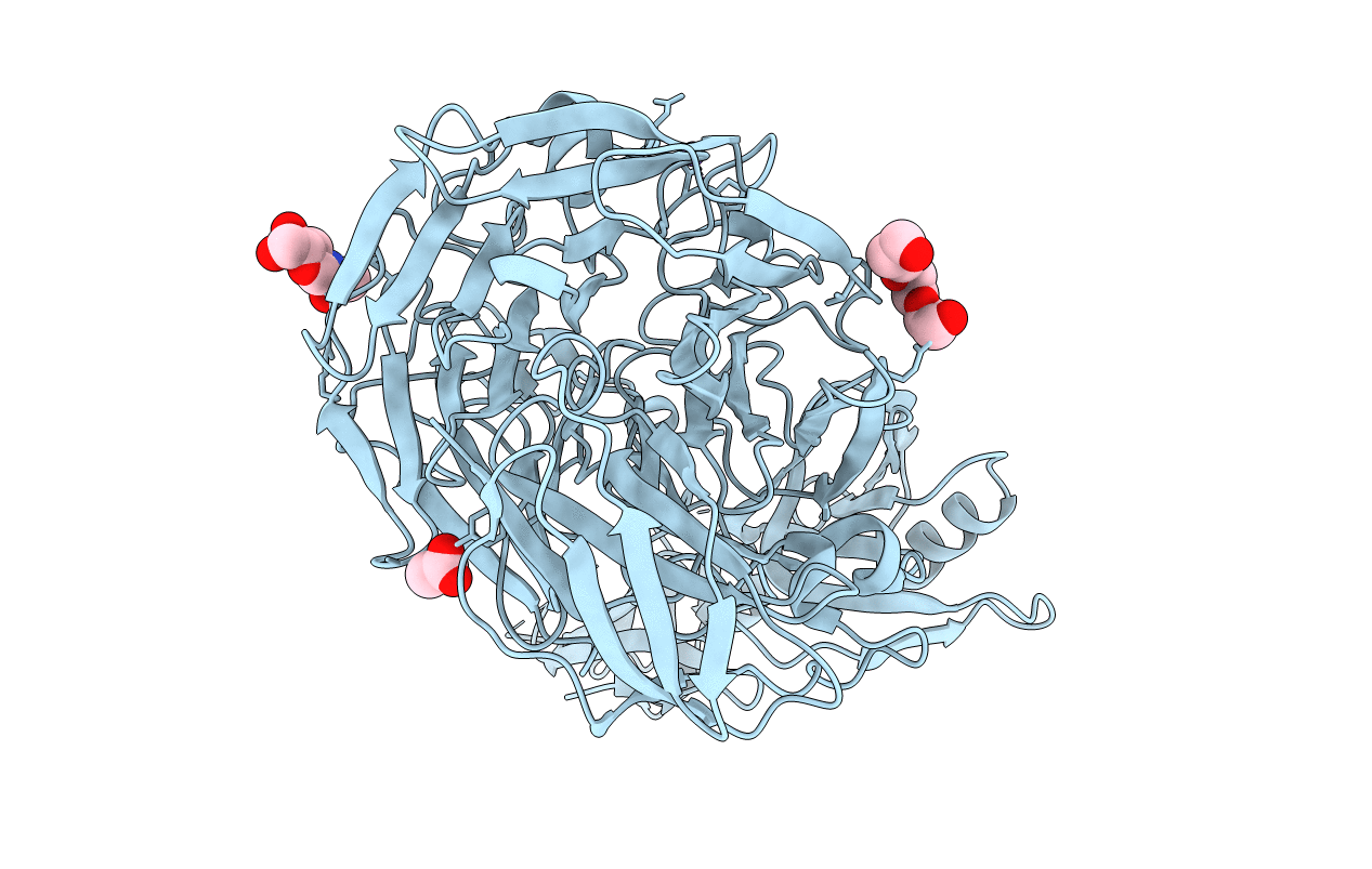 6STX image
