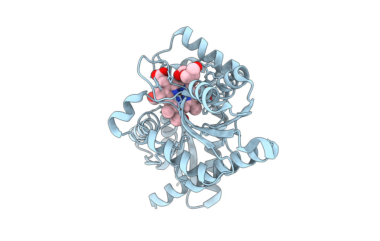 6SV3 image