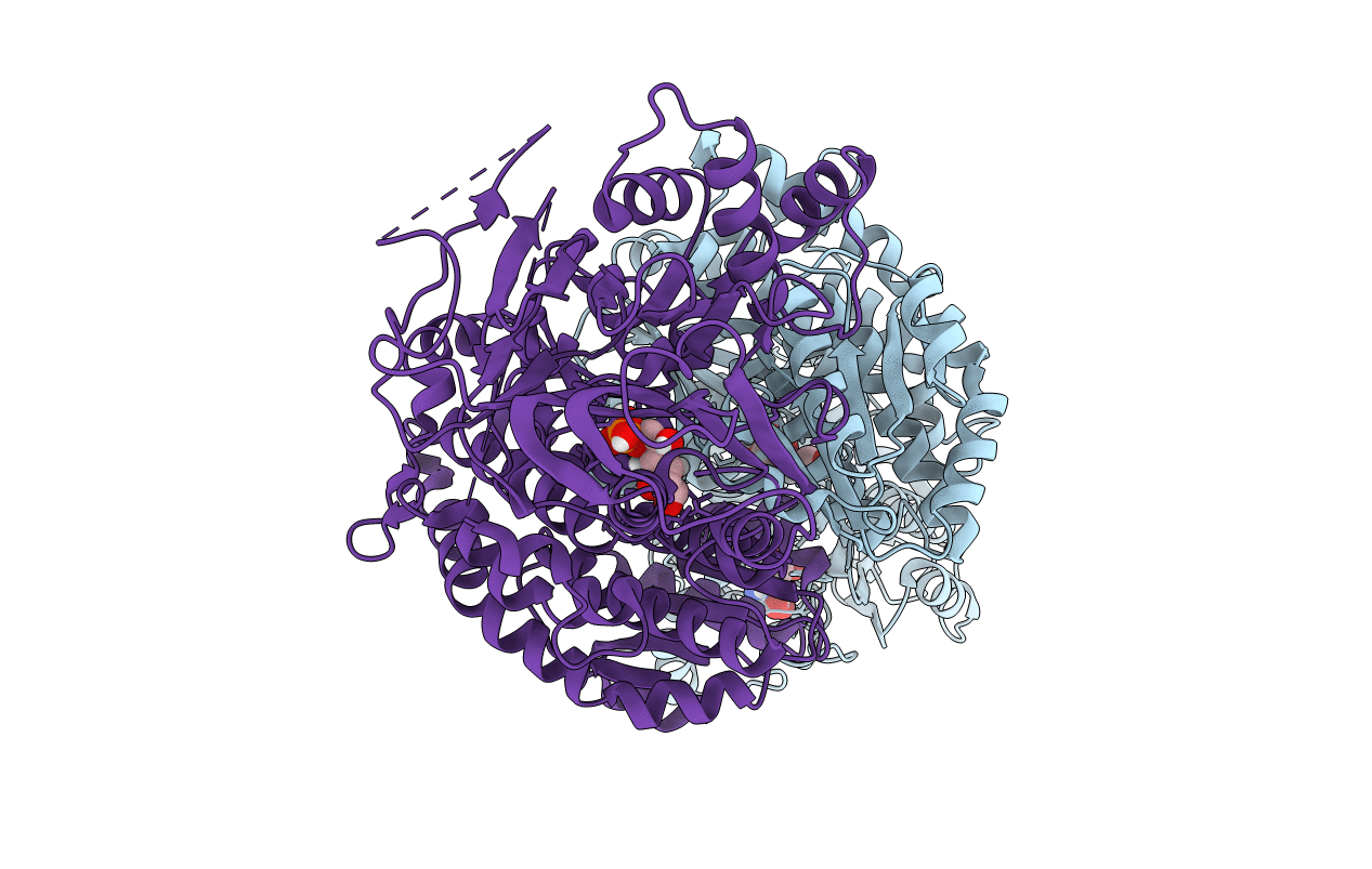 6SVQ image