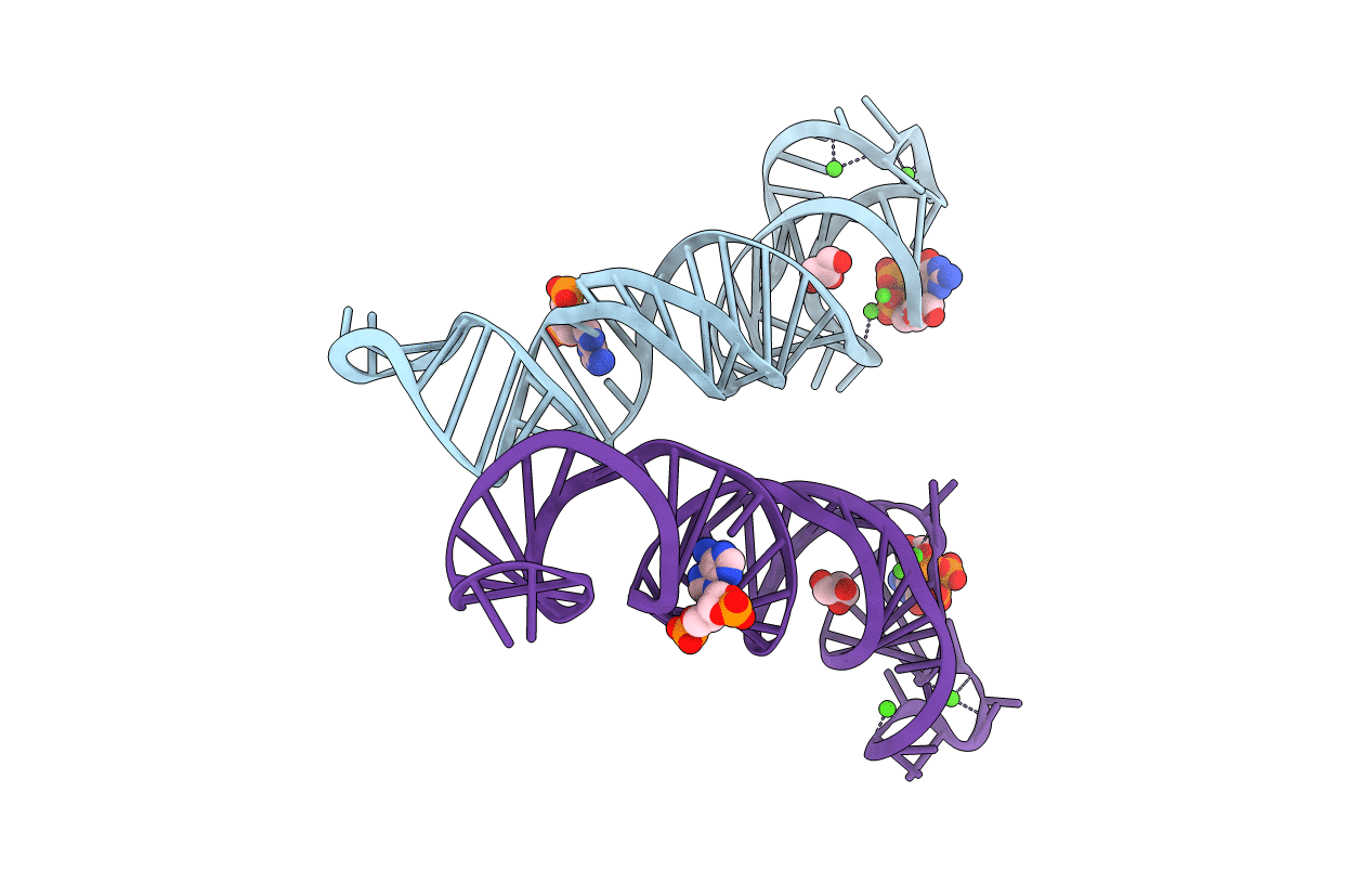 6SVS image