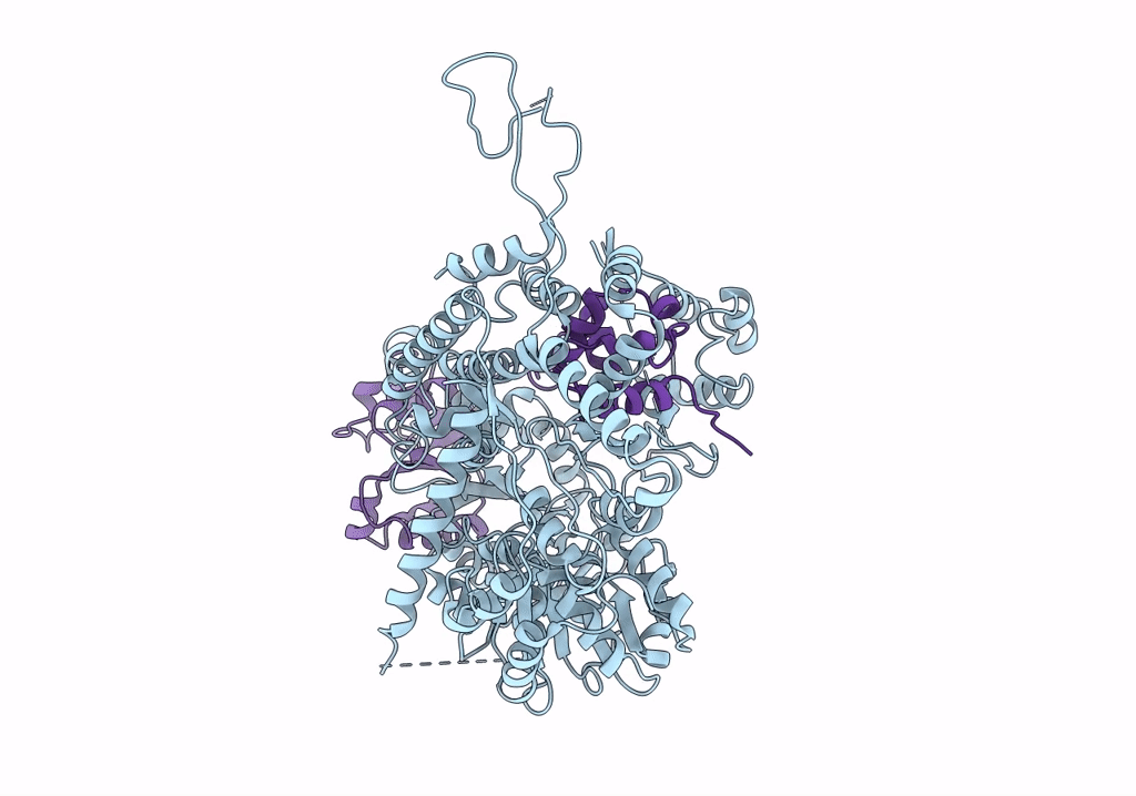 6SXA image