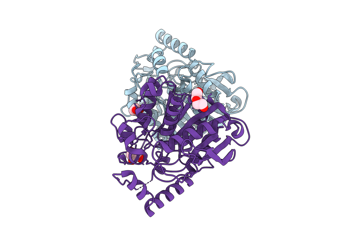6SXP image