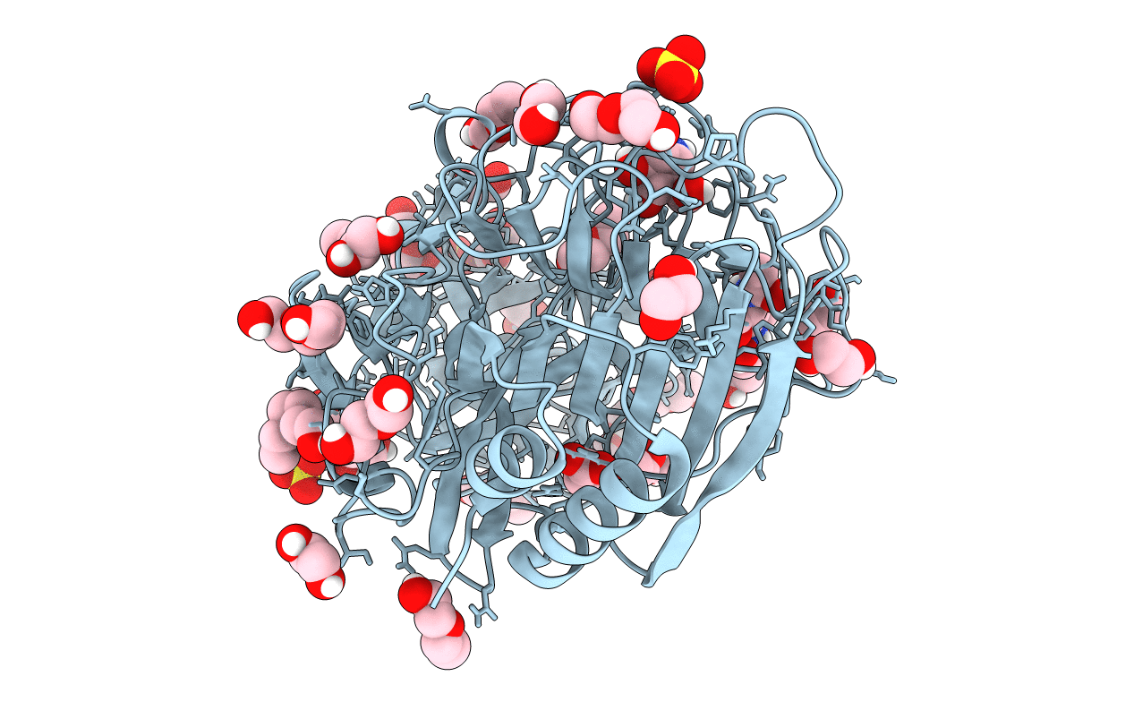 6SXT image
