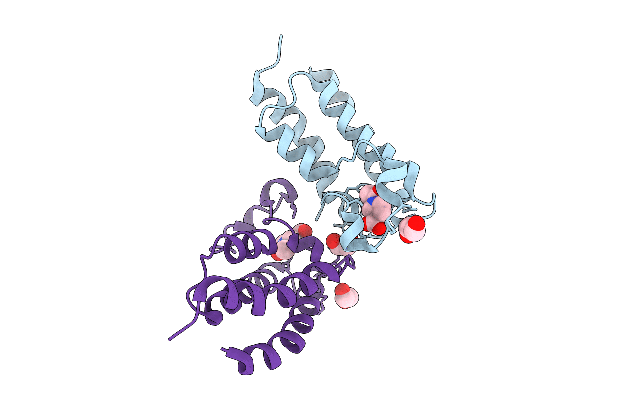 6SXX image