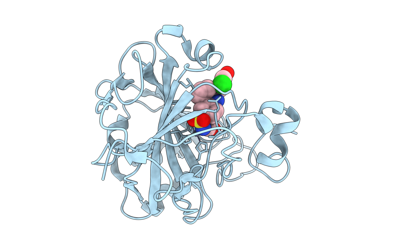 6SYB image