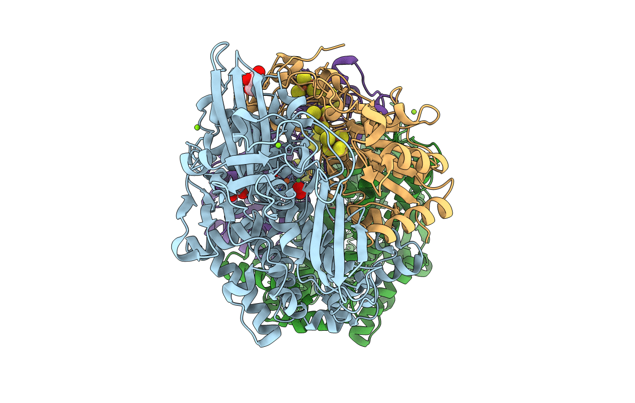 6SYO image