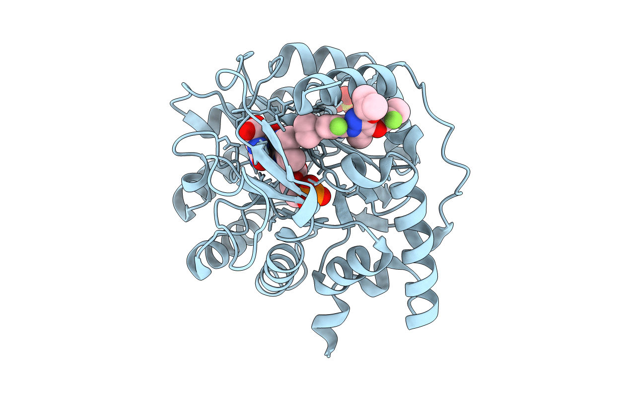 6SYP image