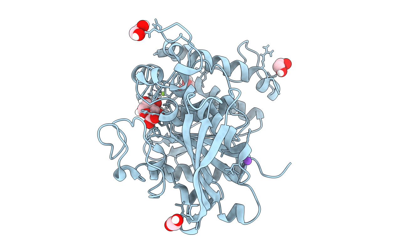 6SYR image