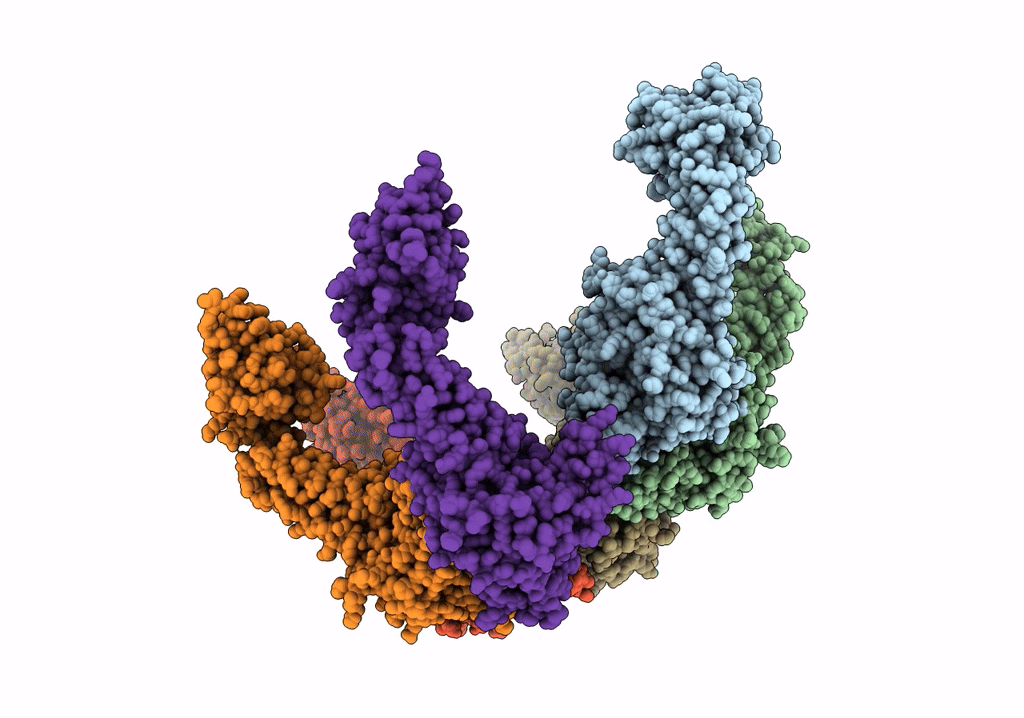 6SZB image
