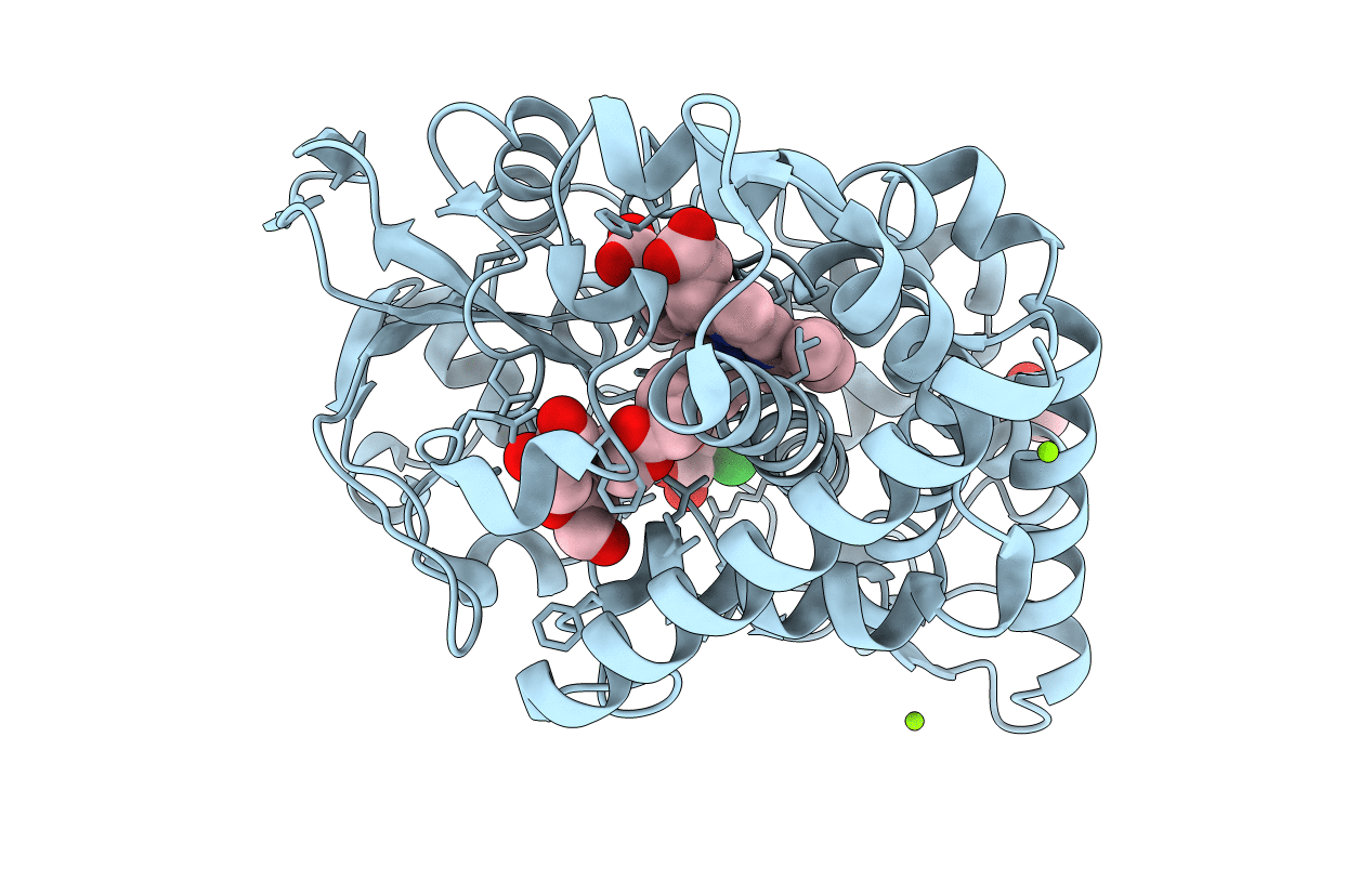 6T0K image