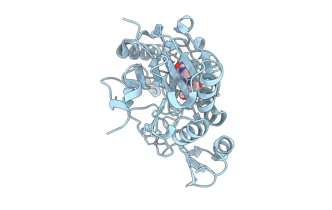6T1B image