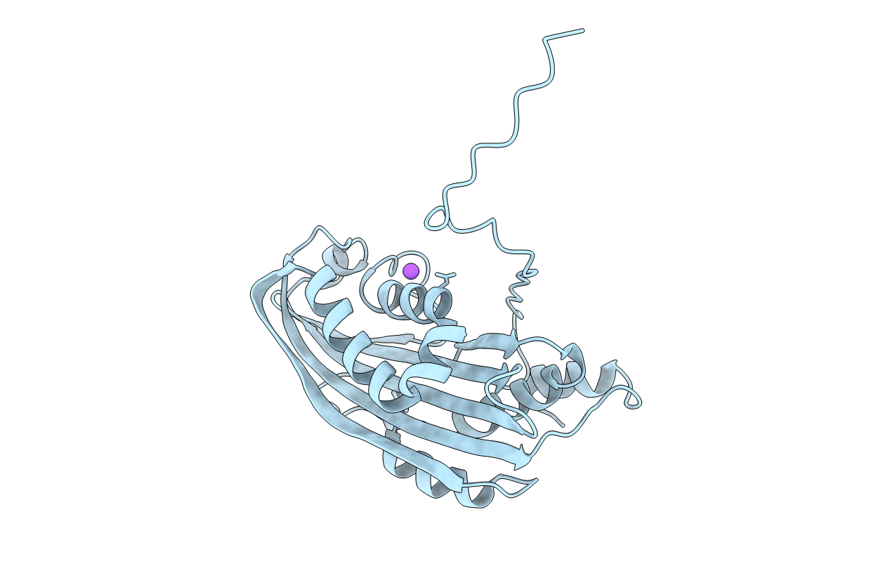 6T1C image