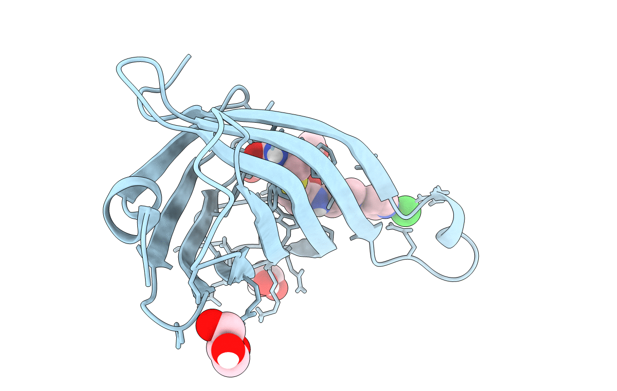 6T1E image