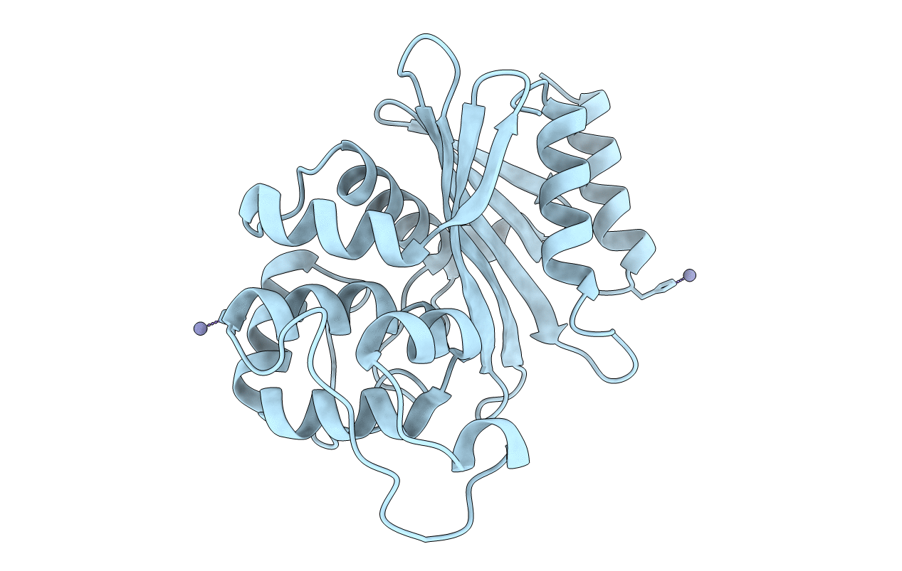 6T1H image
