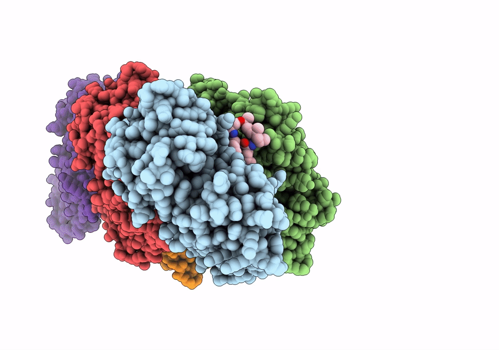 6T24 image