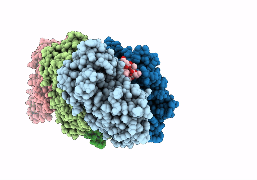 6T25 image