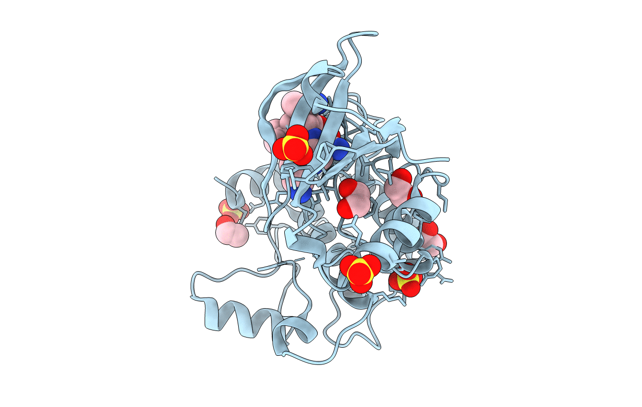 6T29 image