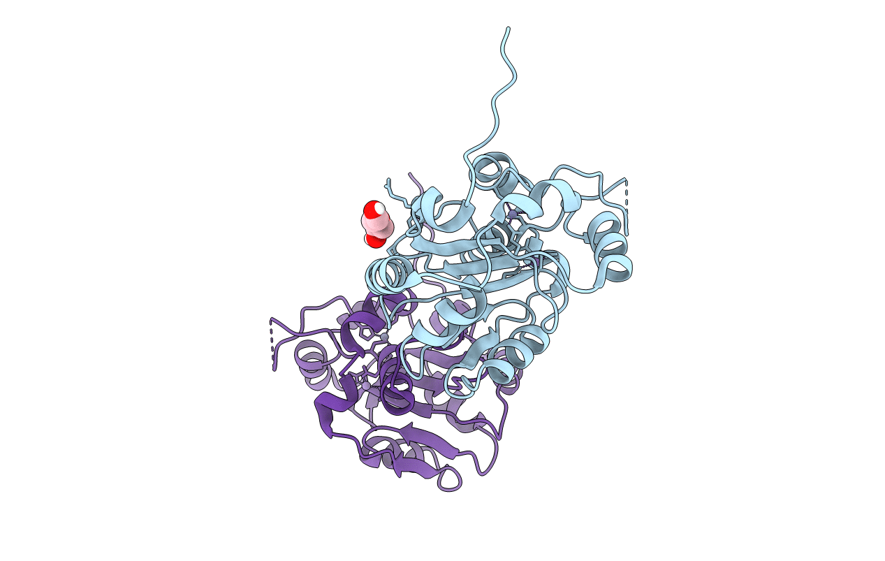 6T2A image