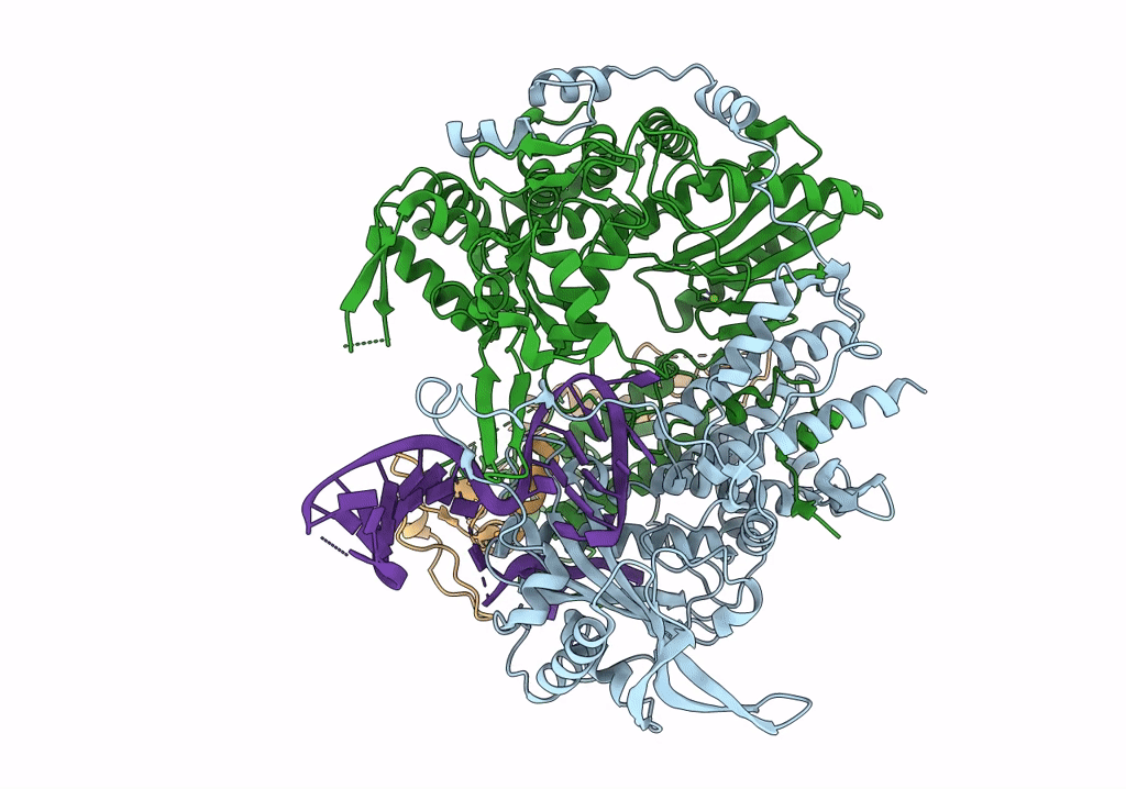 6T2C image