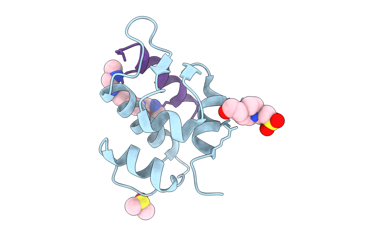 6T2D image