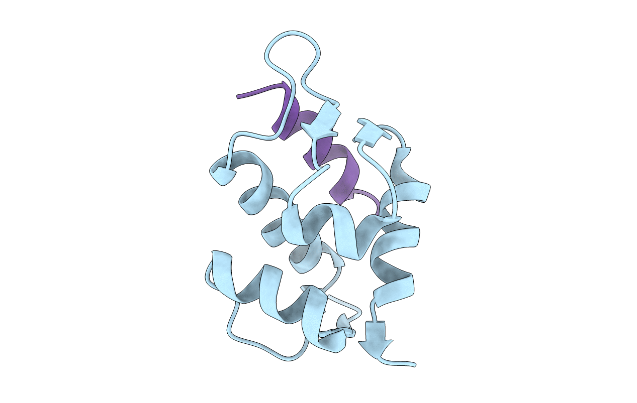 6T2E image